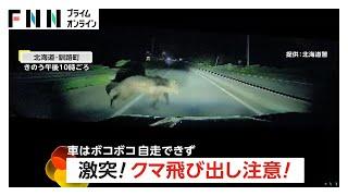 Car Collides with Bear in Hokkaido